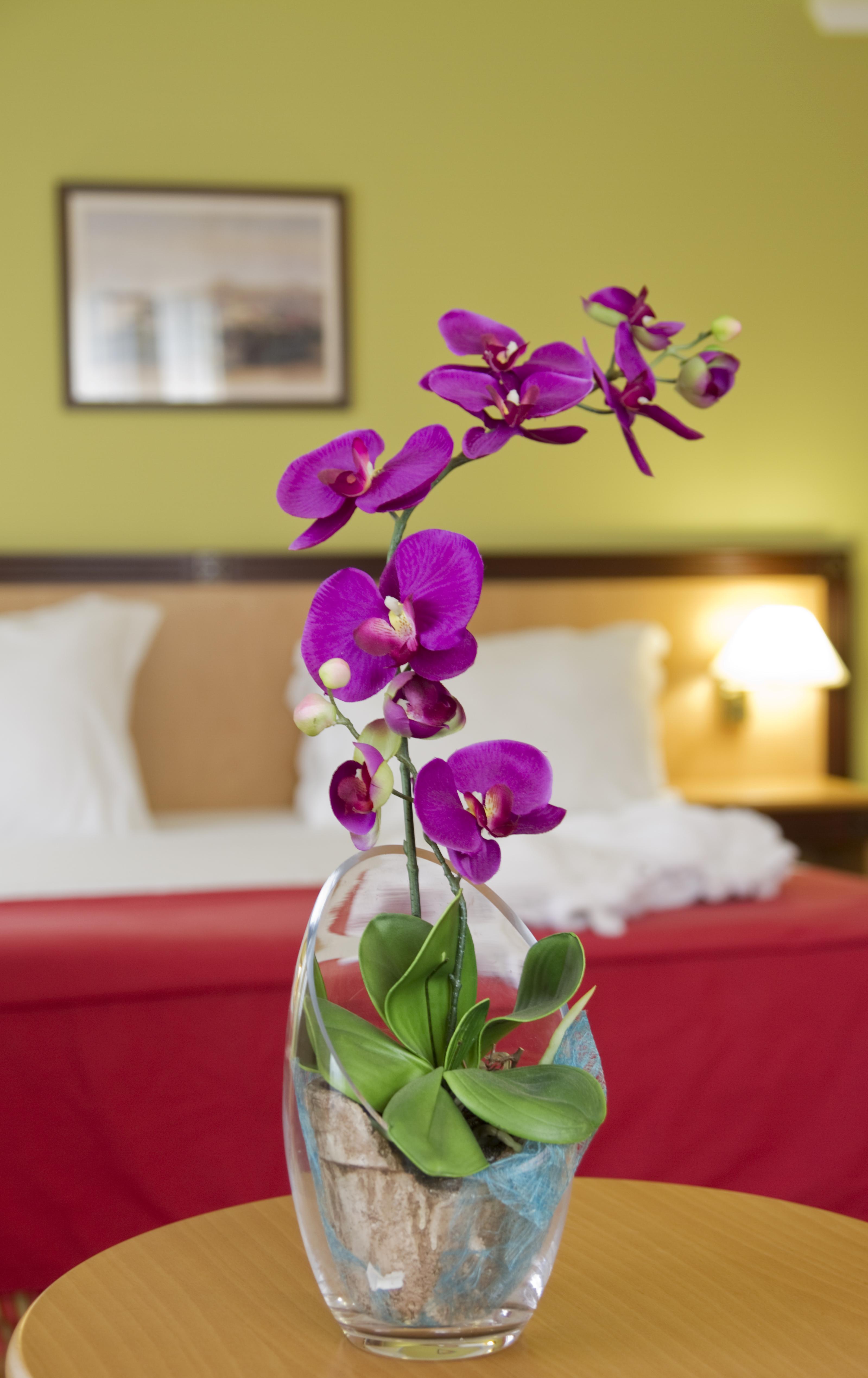Hotel Quinta Bela S Tiago Funchal  Eksteriør bilde